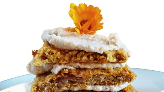 Karotten-Schicht-Torte - vegan, gluten-,hefe- & zuckerfrei, AW-konform