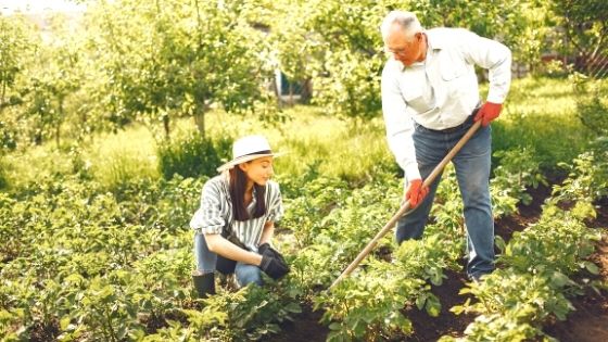 Zwei Menschen im naturnahen Obst- und Gemüsegarten