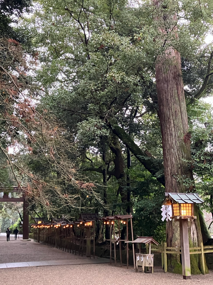 天理の花えみ　奈良県天理市のオーガニックカラー専門店