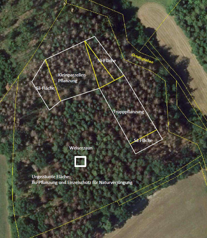 Planung der Pflanzungen auf der Oberlauterer LBV-Fläche