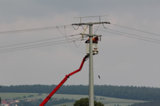 Nach dem Stromtod eines Storches rüstet der Netzbetreiber Bayernwerk derzeit die Stromleitungen im Itzgrund nach