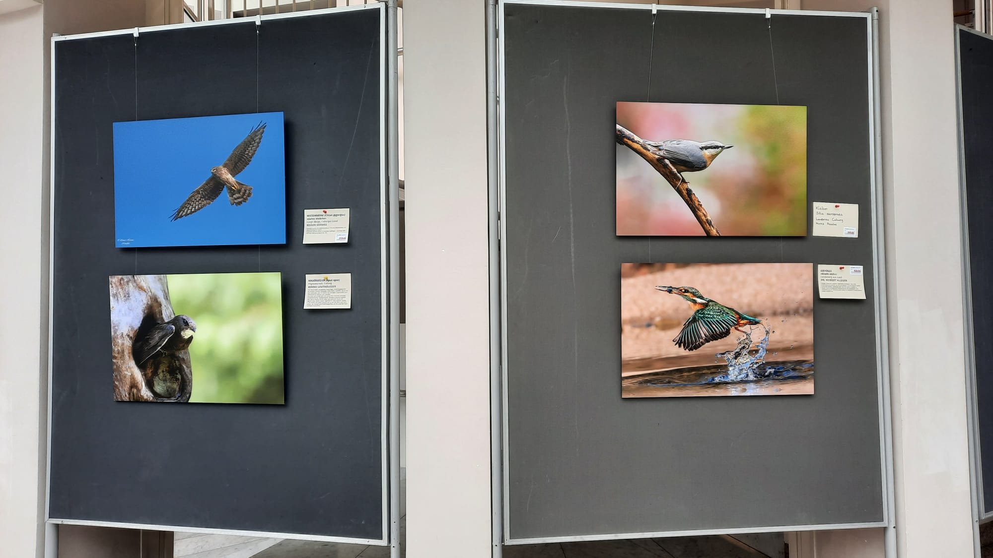 (c) Urs Leuthäusser