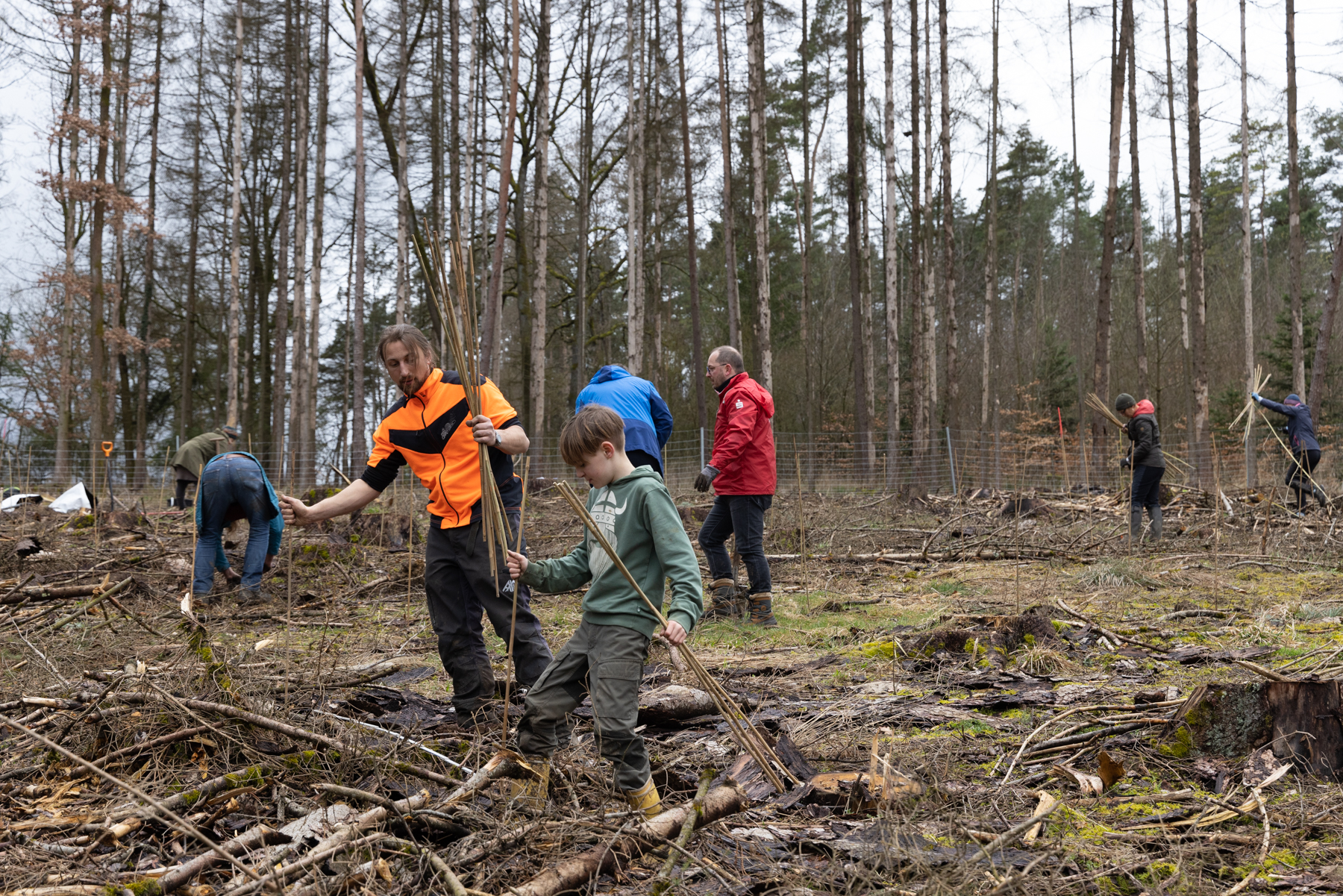 Und dann ging die Pflanzung los! Von Jung.... (Foto: Bernd Leuthäusser)