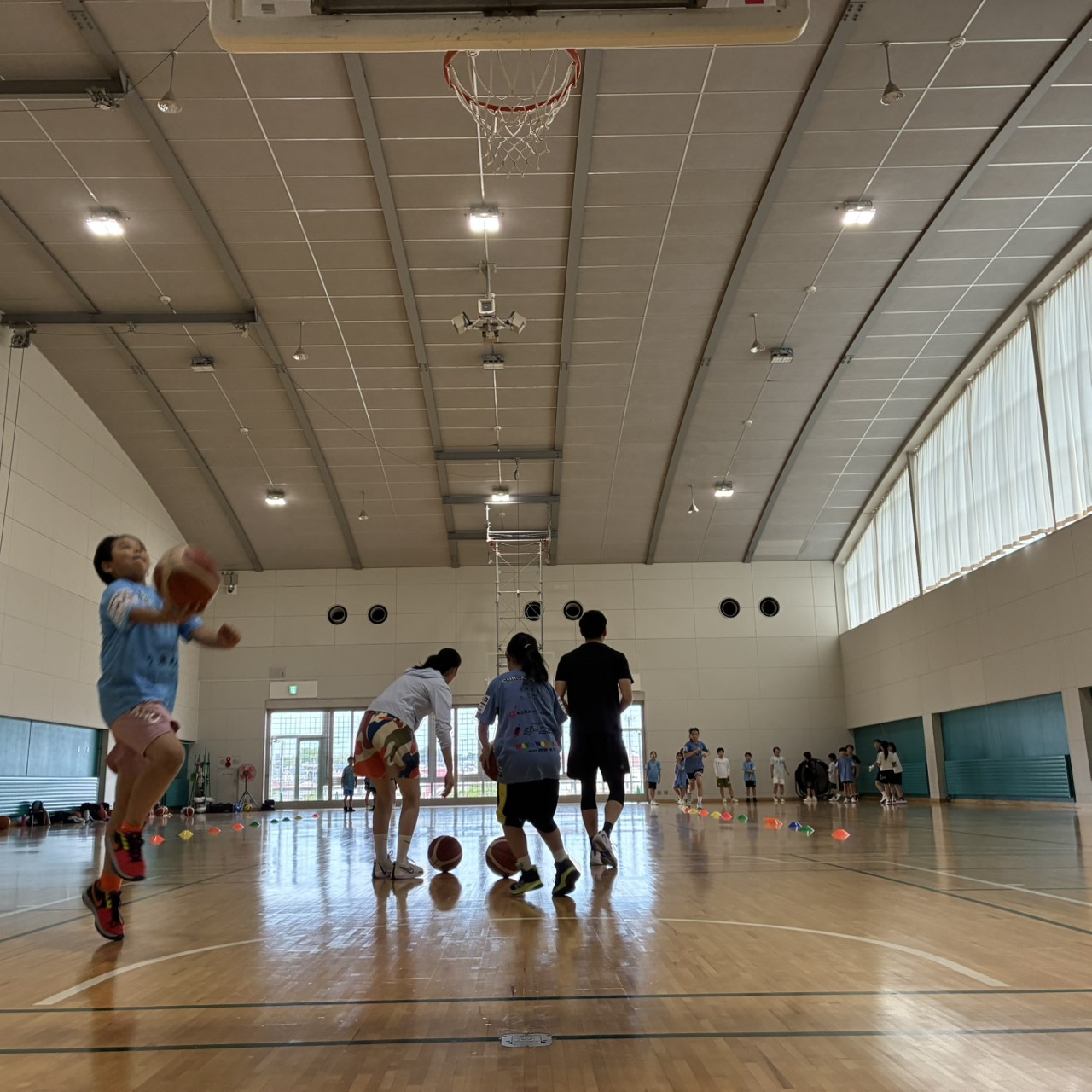 ファンダメンタルメンバーの活動