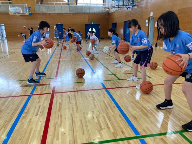 ５月の活動