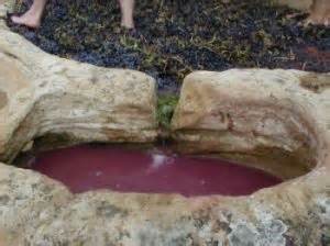 pisado de la uva montehermoso