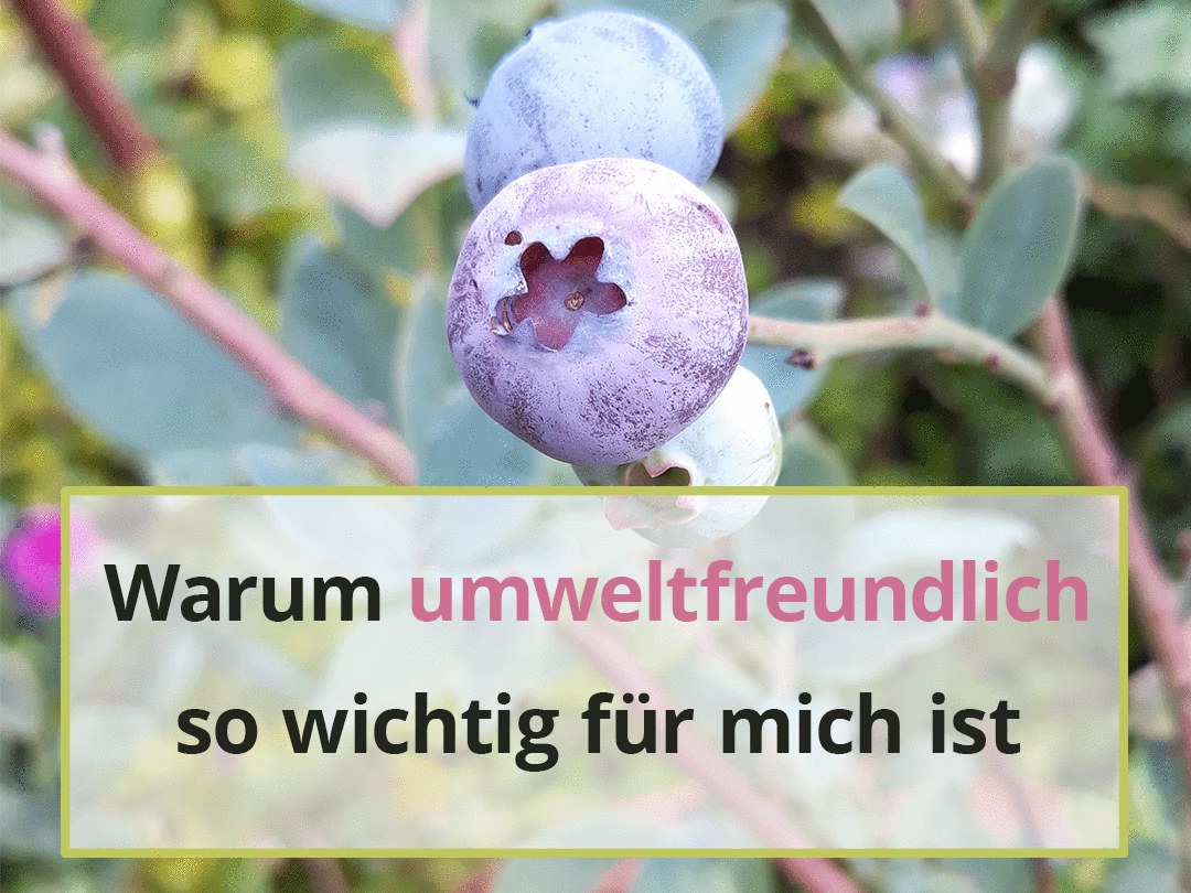 Warum umweltfreundlich so wichtig für mich ist