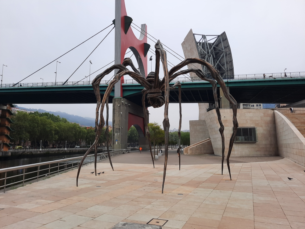 Spinne, auf der Promenade