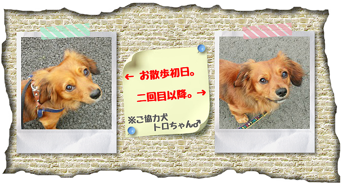 お世話初日と二回目以降の愛犬の顔の違い