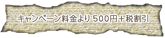 キャンペーン料金より500円＋税割引