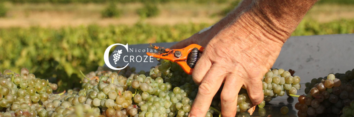 Domaine Nicolas Croze