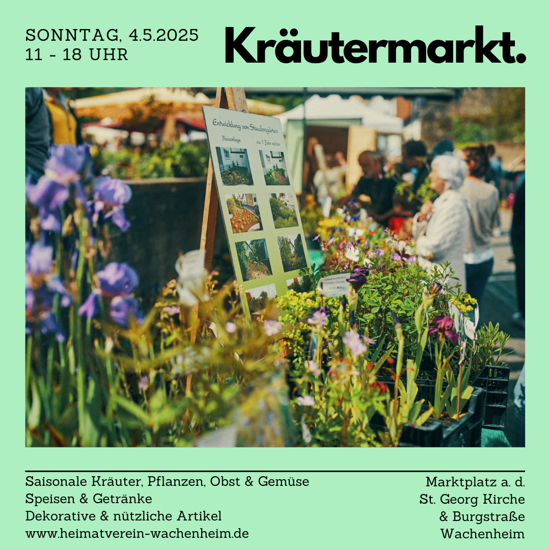 Kräutermarkt 2025 in Wachenheim – Ein Fest für alle Sinne!