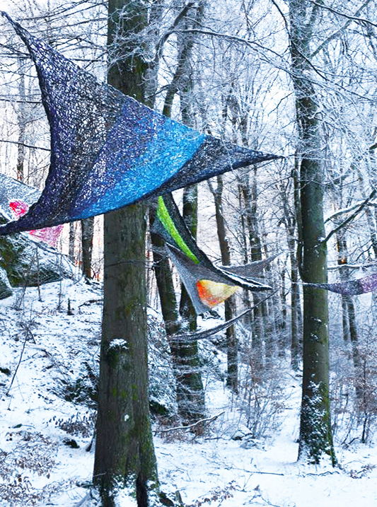 A L'AFFUT   Nolhaga Park,  Alingsas, Suède  hiver 2016