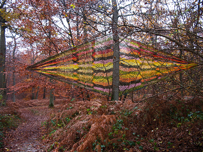 Forêt d'Halatte, automne 2011