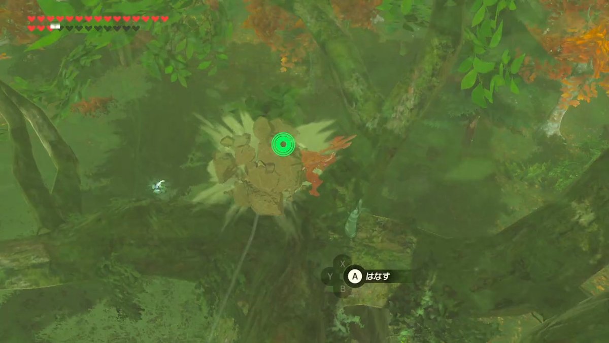 オクタの森1 ゼルダの伝説 Breath Of The Wild オクタの森1 ゼルダの伝説 Breath Of The Wild