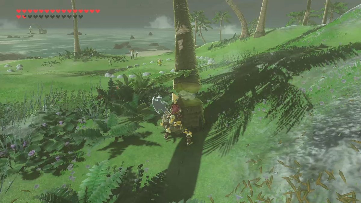 コルネビーチ ゼルダの伝説 Breath Of The Wild コルネビーチ ゼルダの伝説 Breath Of The Wild