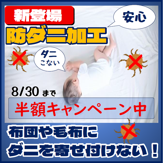 防ダニ加工半額中