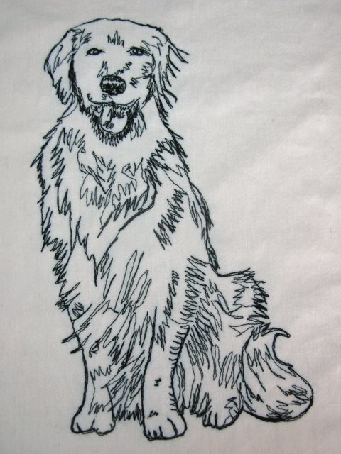 Golden Retriever, genähmalt