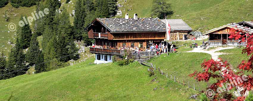 Auf der Dalfazer Alm im Rofan Gebirge am Achensee, Tirol