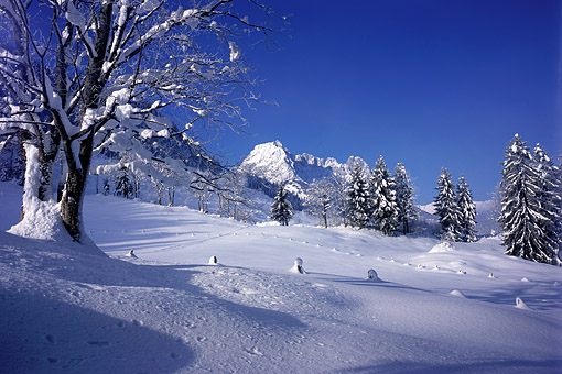 Mauckspitze, Wilder Kaiser bei St. Johann in Tirol