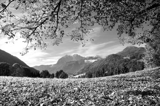 Der Wilde Kaiser von Schwendt im Kaiserwinkel, Tirol