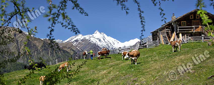 Apriacher Stockmühlen bei Heiligenblut in Kärnten mit Großglockner, Nationalpark Hohe Tauern