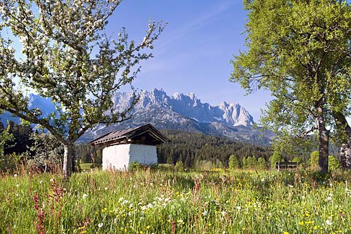 Der Wilde Kaiser bei Going, Nähe Kitzbühel, Tirol