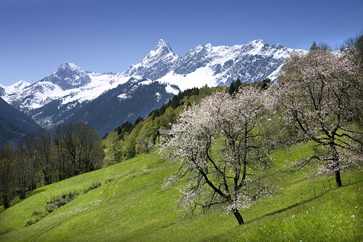 Österreich, Vorarlberg, Montafon. Blick vom Bartholomäberg auf die Zimba