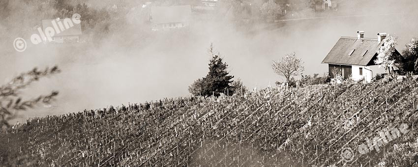 Herbstlicher Stimmung über den Weinbergen von Kitzeck in der Weststeiermark, Österreich. sepia