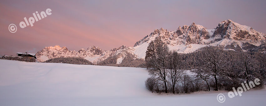 Der Wilde Kaiser bei Going, Nähe Kitzbühel bei einer Föhnstimmung am frühen Morgen, Tirol