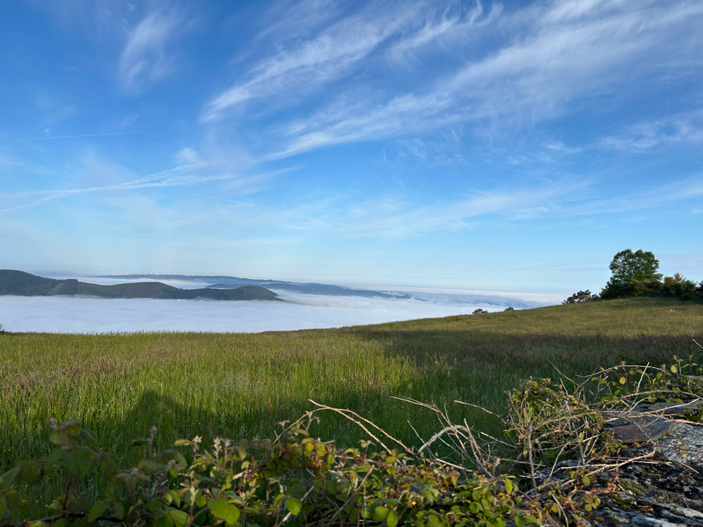 Ein Meer von Nebel