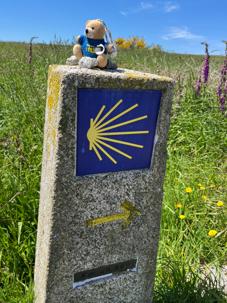 1001km Spendenlauf