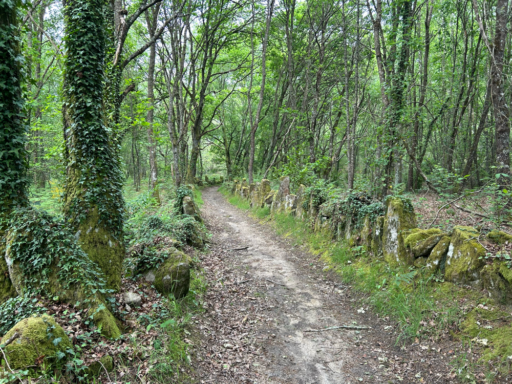 Uralte Wege
