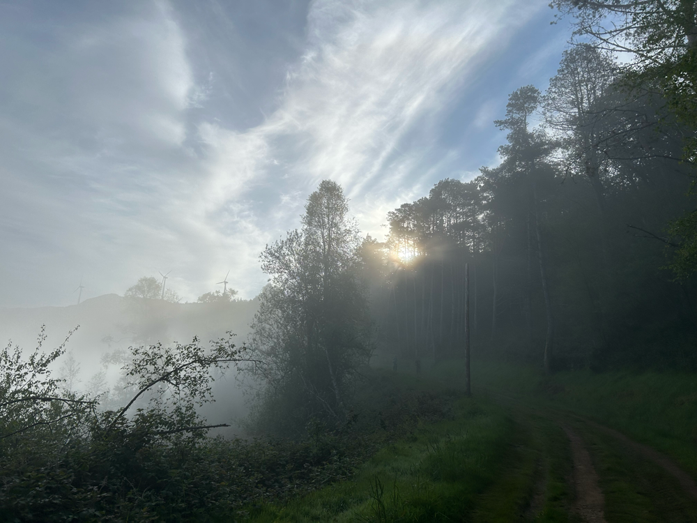 Abstieg in den Nebel