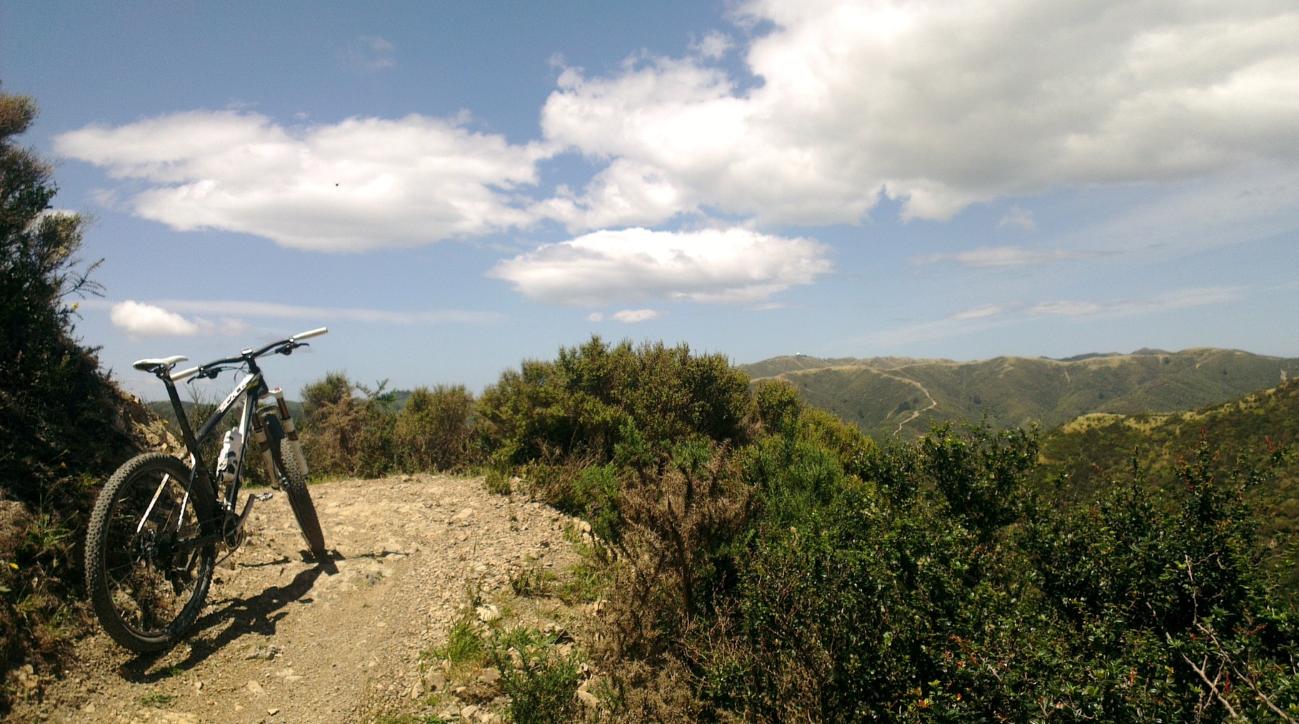 Trails in Wellington - New Zealand