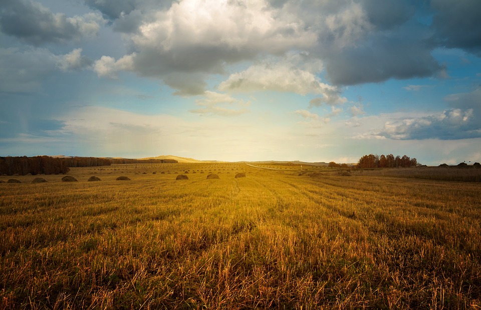 Landwirtschaft hat Zukunft: Kleinbauern unterstützen!
