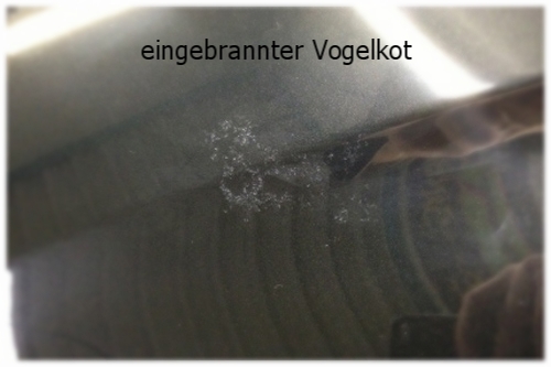 eingebrannter Vogelkot, Lackdefekte, Hologramme 