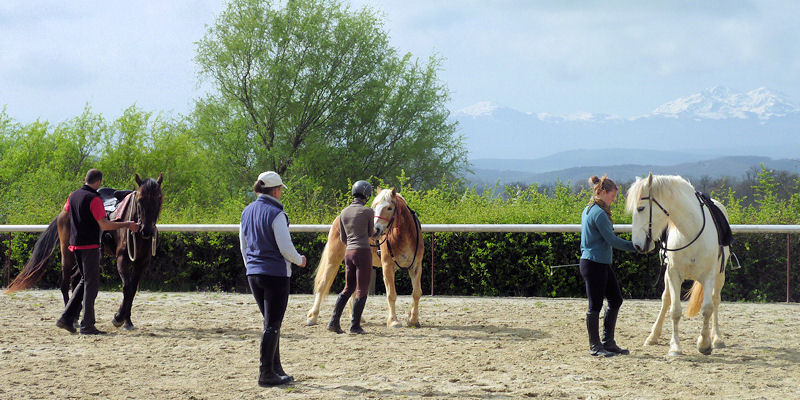 Ayudar al caballo a emplear su cuerpo correctamente