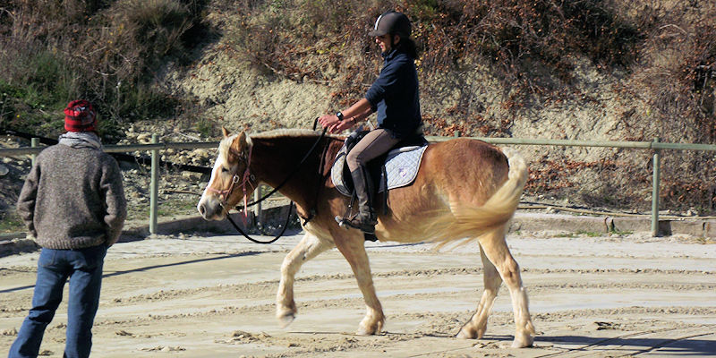 Convertirte en el jinete de los sueños de tu caballo