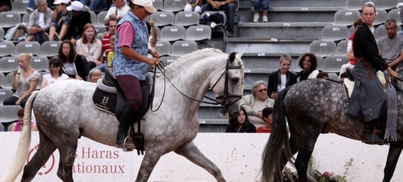 El gran objetivo del método EdC: una equitación en equilibrio y armonía con un caballo ligero y responsivo a las mínimas ayudas del jinete