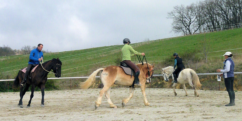 Preparar al caballo a su uso en la equitación