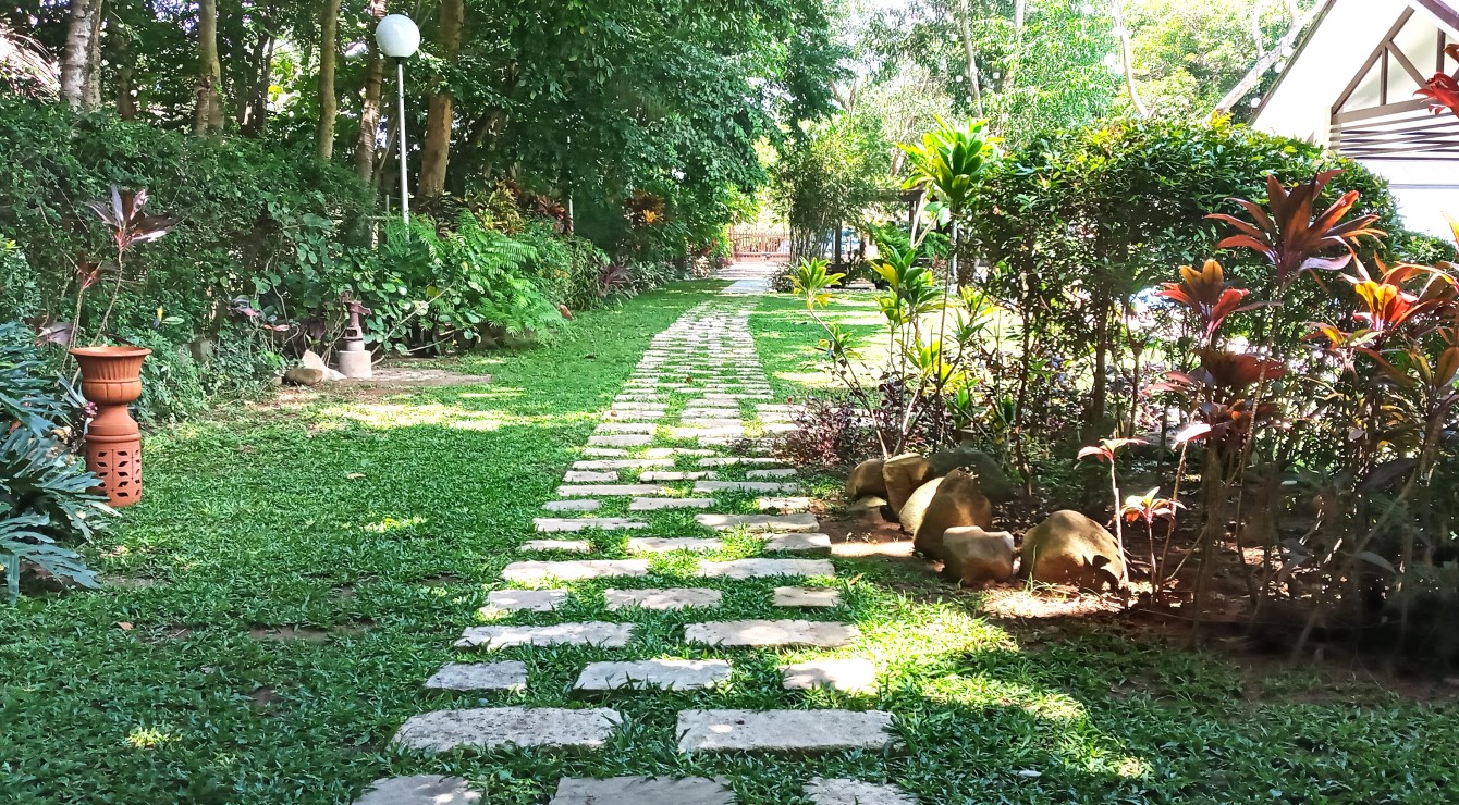 PURPLE FARM in Dinalupihan, Bataan Expressions