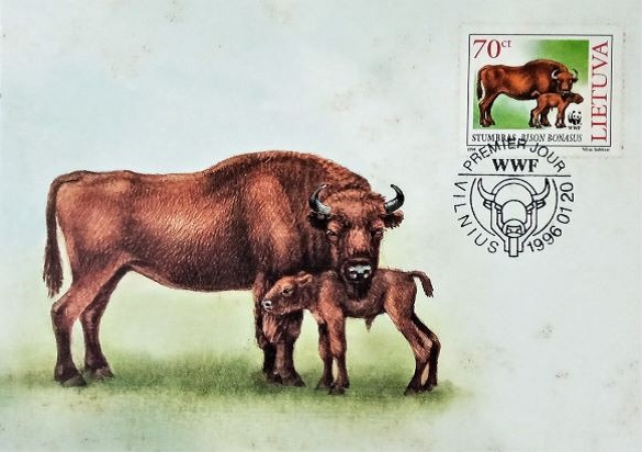 Lithuania, 1996 - Bison and Calf on Maximum Card