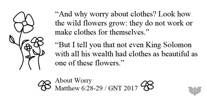 Matthew 6:28-29