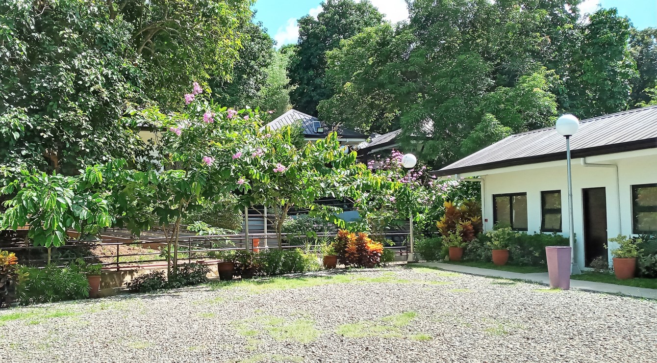 PURPLE FARM in Dinalupihan, Bataan Expressions