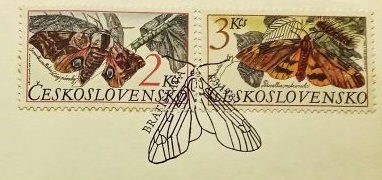 Insects on Main Part of the Czechoslovakian First Day Cover of 1994 (2nd of the Set)