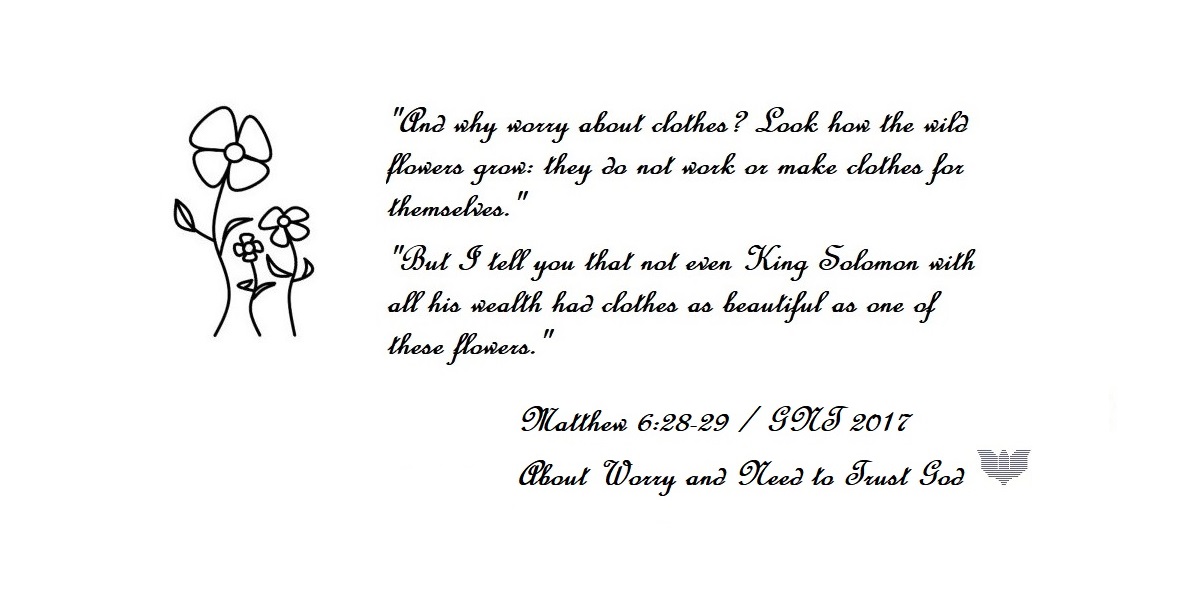 Matthew 6:28-29