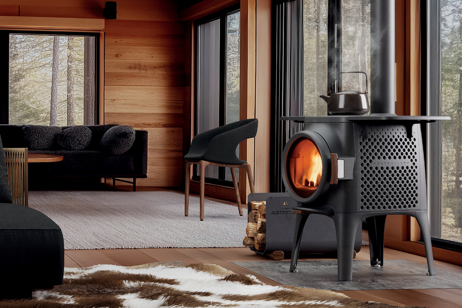 Poêle bois feu fonte
