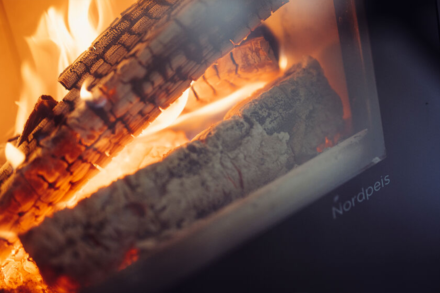 Cheminée insert bois feu