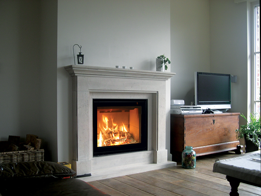 Cheminée feu bois insert